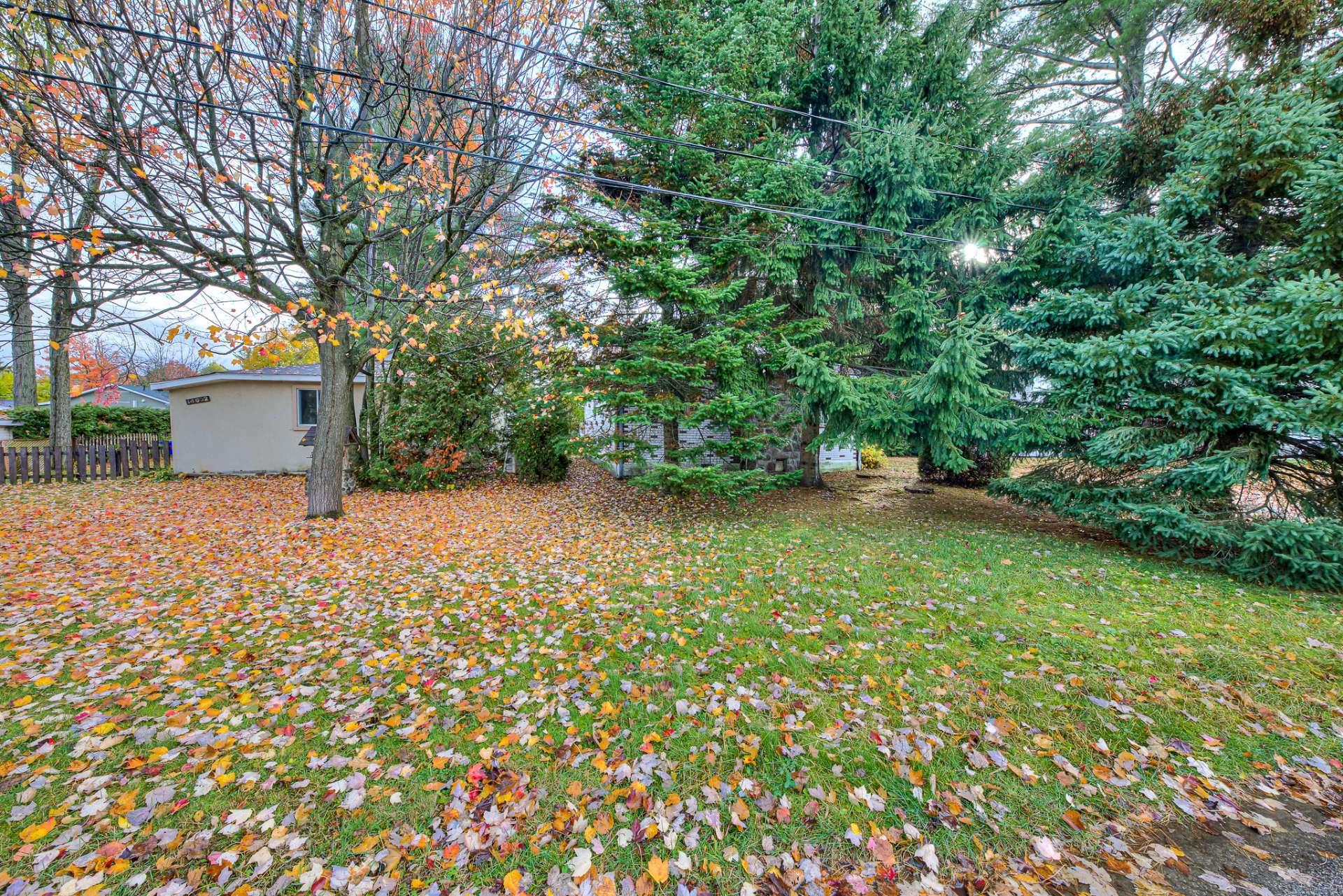 









14620


Rue Gilbert

,
Mirabel,




QC
J7N1Y5

