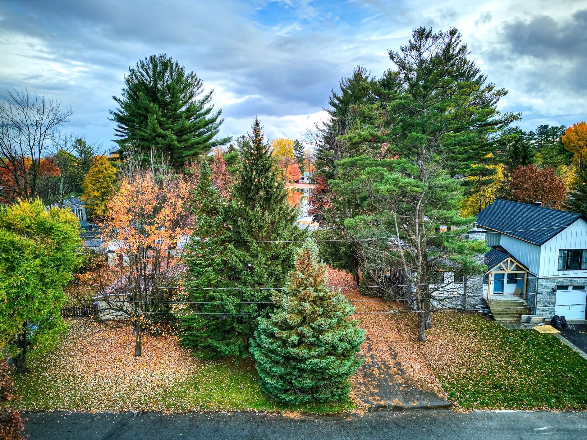 









14620


Rue Gilbert

,
Mirabel,




QC
J7N1Y5

