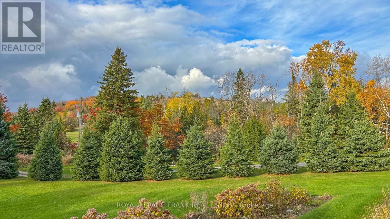 












556 HWY 7A HIGHWAY

,
Kawartha Lakes (Manvers),







Ontario
L0A1A0

