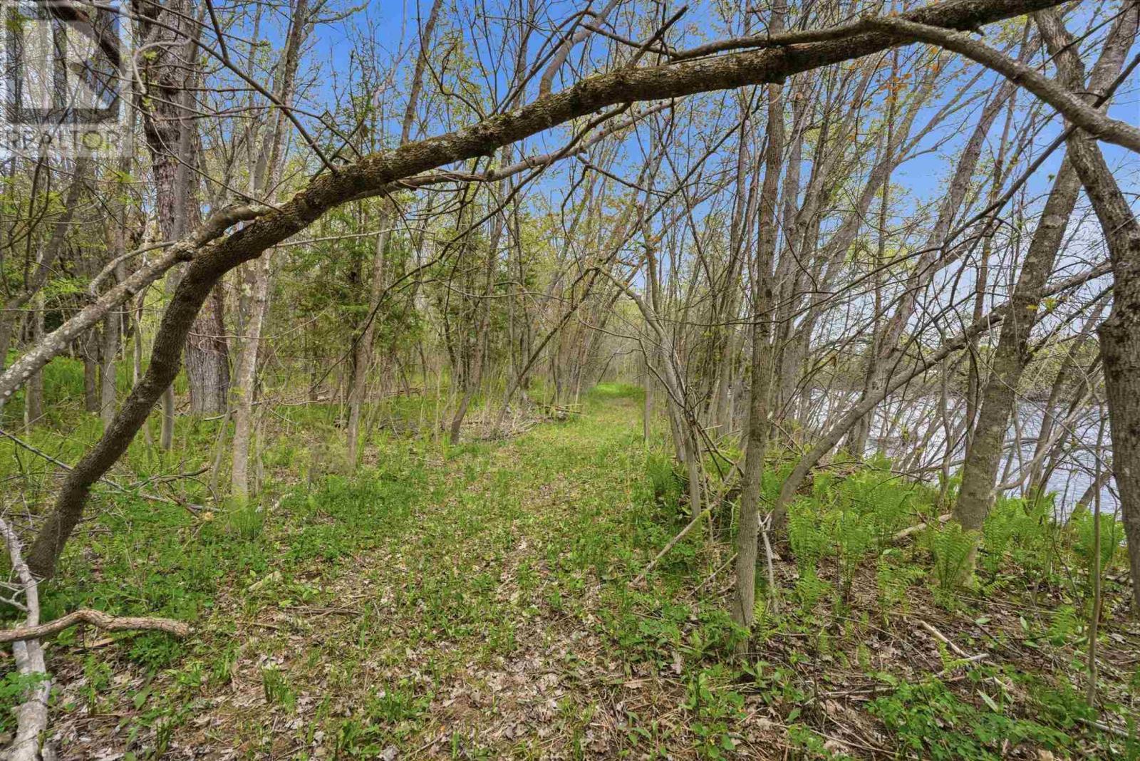 












21 Eley RD

,
Iron Bridge,




Ontario
P0R1H0

