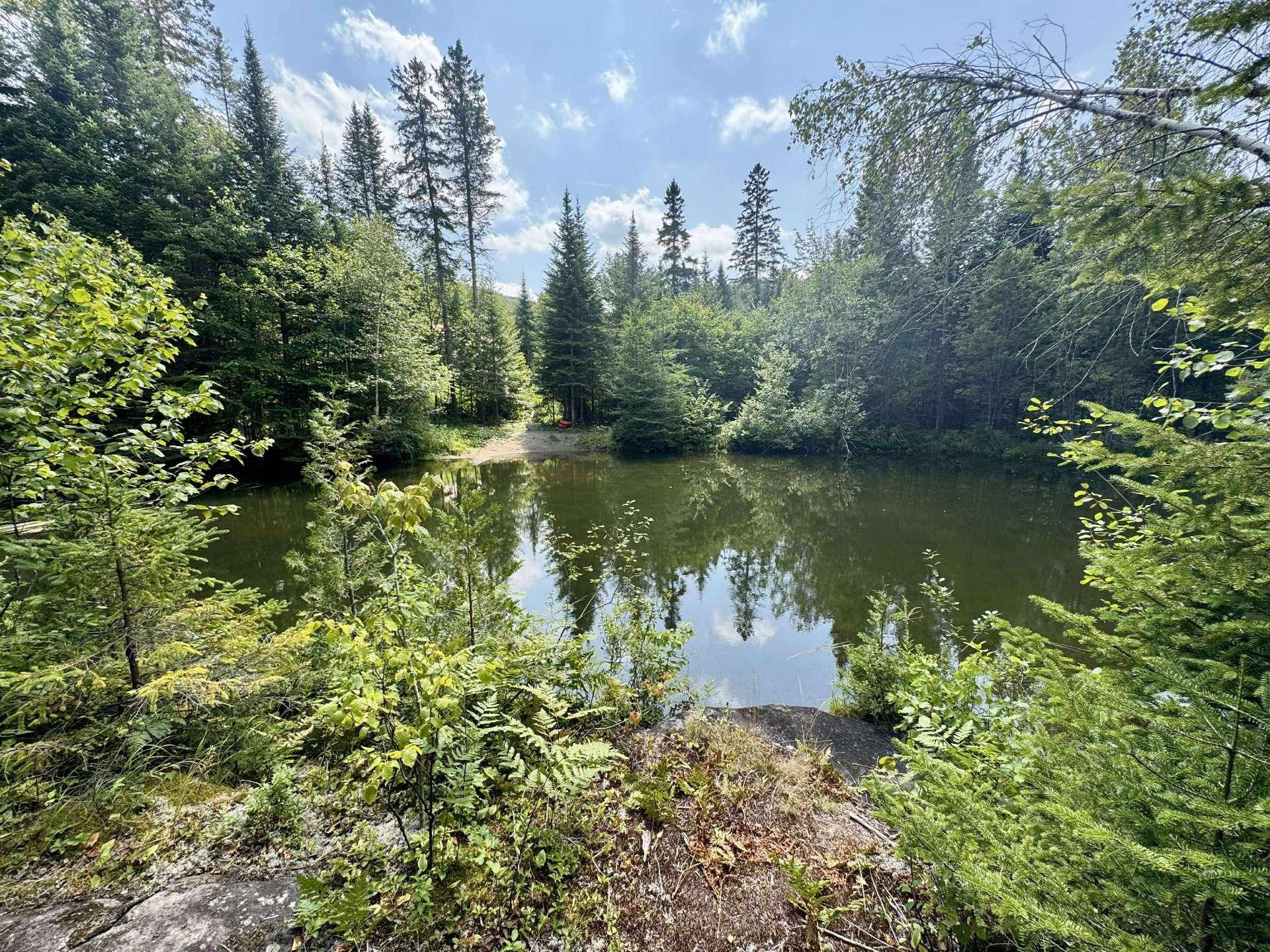 









9065Z

 - 9067Z


Ch. Ladouceur

,
Sainte-Agathe-des-Monts,




QC
J8C3R8

