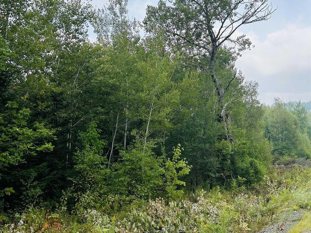 












Lot Alpena Road

,
East Inglisville,







NS
B0S 1M0

