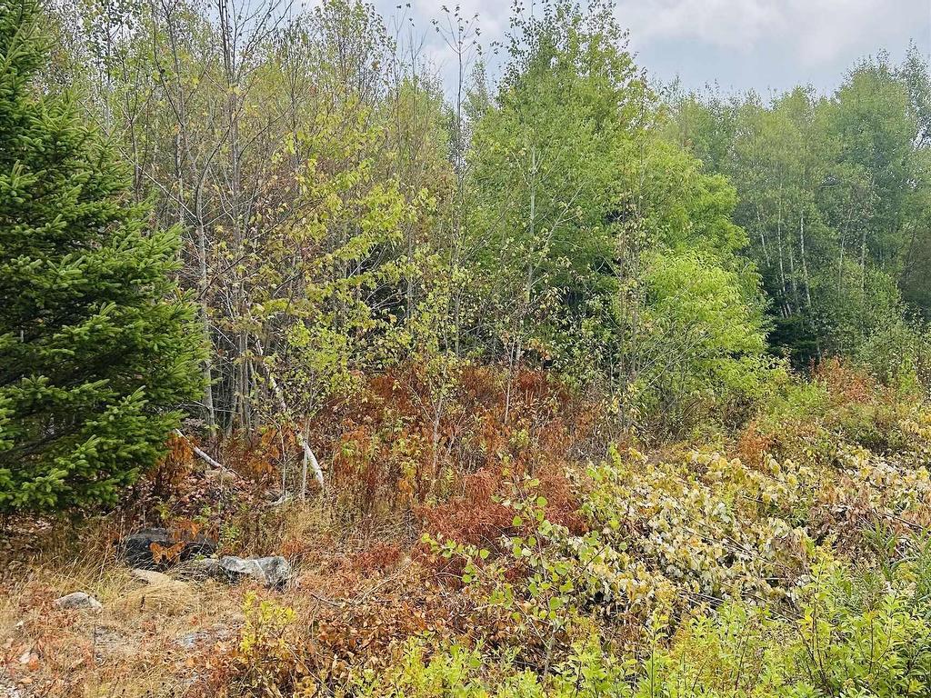 












Lot Alpena Road

,
East Inglisville,







NS
B0S 1M0

