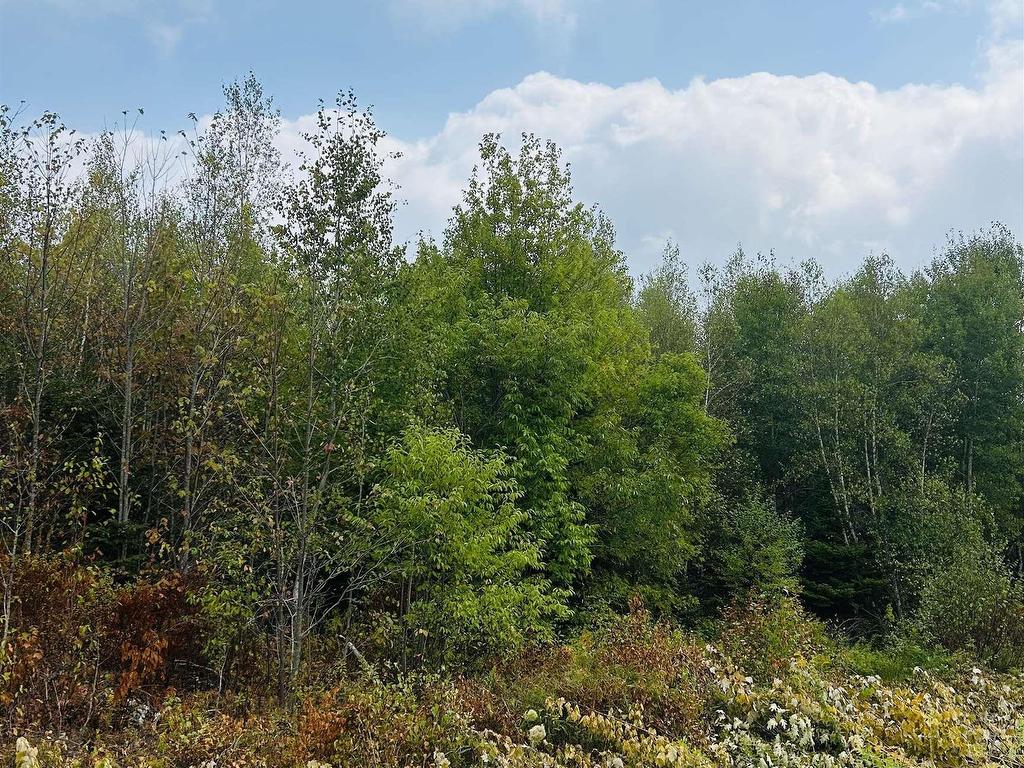 












Lot Alpena Road

,
East Inglisville,







NS
B0S 1M0

