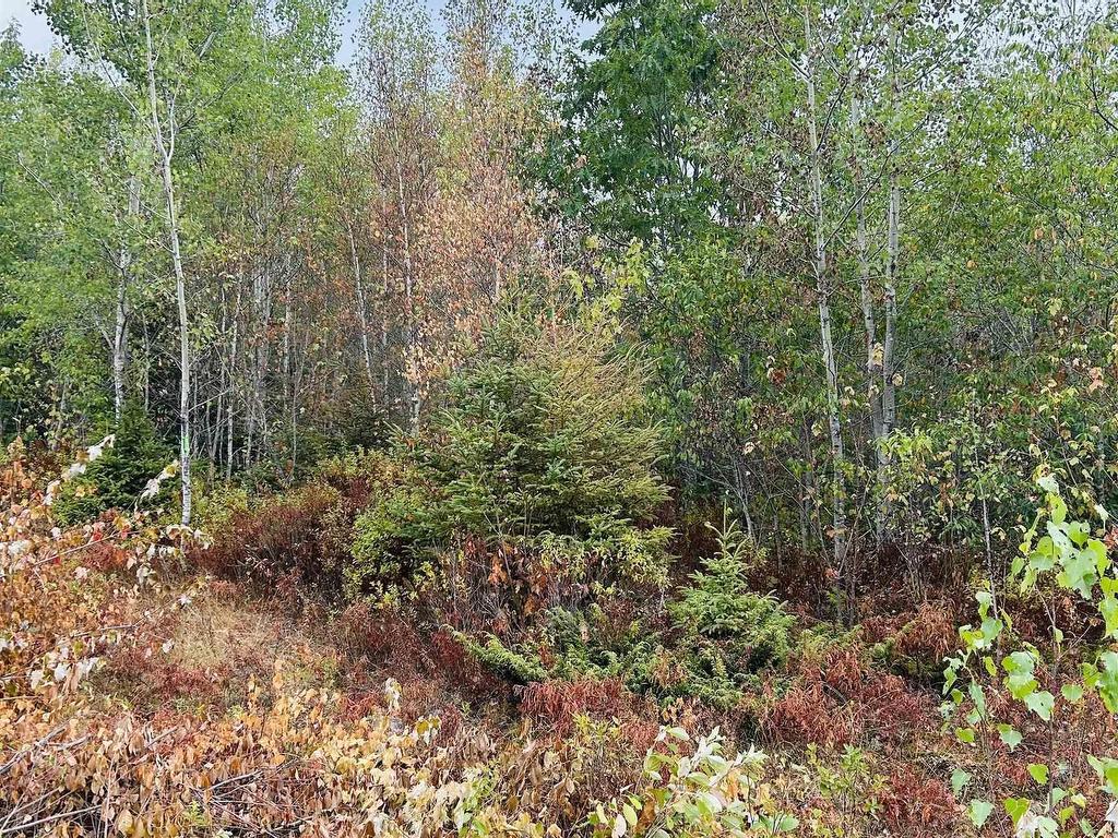 












Lot Alpena Road

,
East Inglisville,







NS
B0S 1M0

