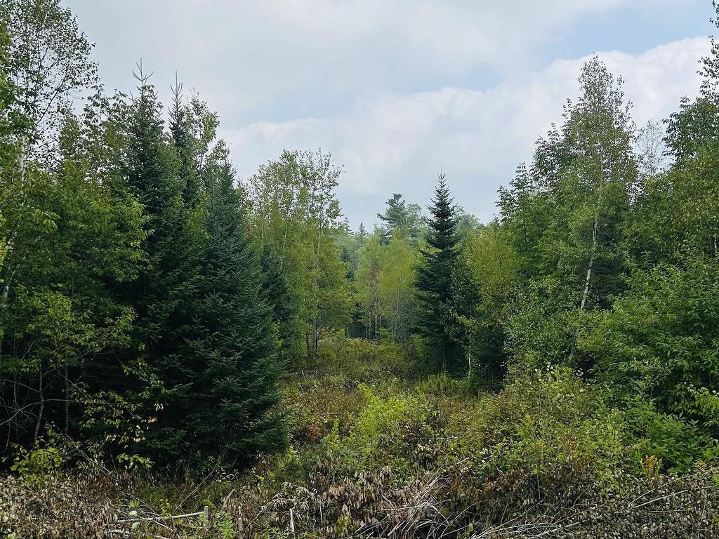 












Lot Alpena Road

,
East Inglisville,







NS
B0S 1M0

