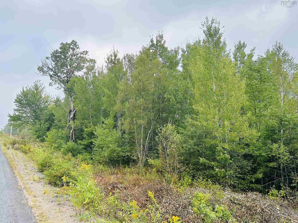 












Lot Alpena Road

,
East Inglisville,







NS
B0S 1M0

