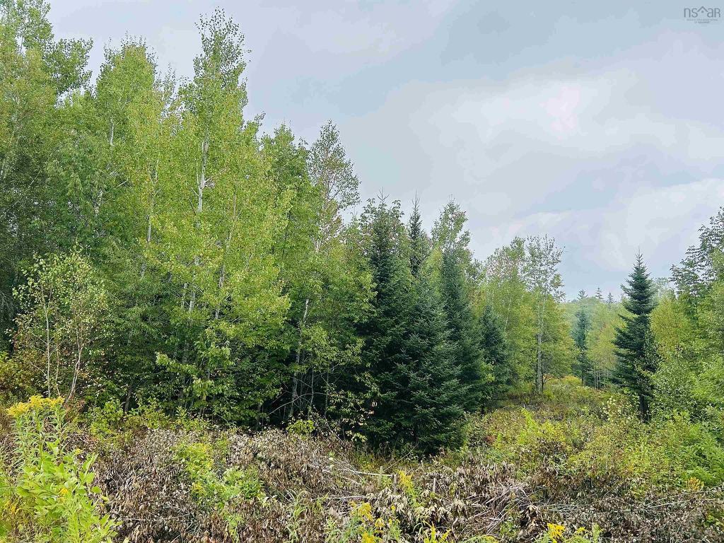 












Lot Alpena Road

,
East Inglisville,







NS
B0S 1M0

