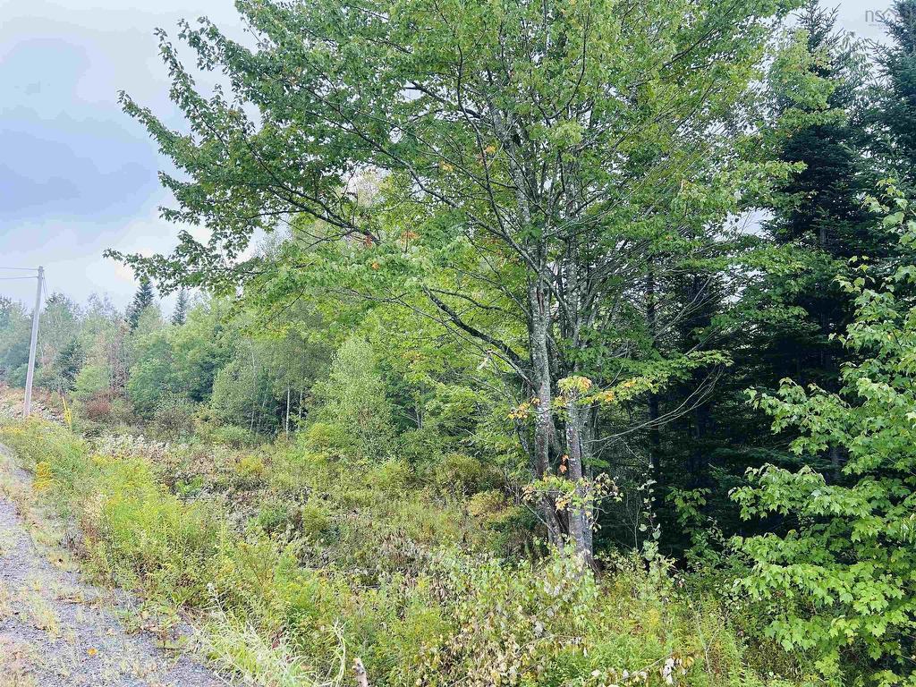 












Lot Alpena Road

,
East Inglisville,







NS
B0S 1M0

