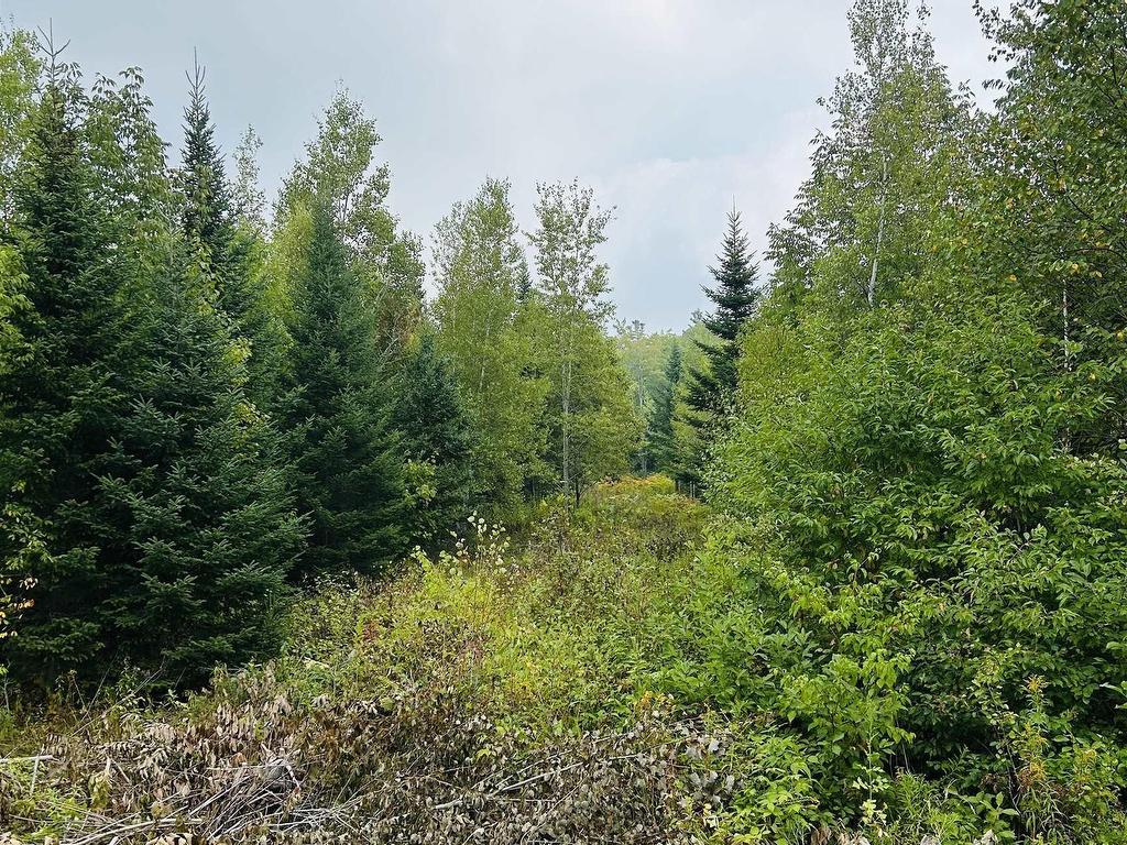 












Lot Alpena Road

,
East Inglisville,







NS
B0S 1M0

