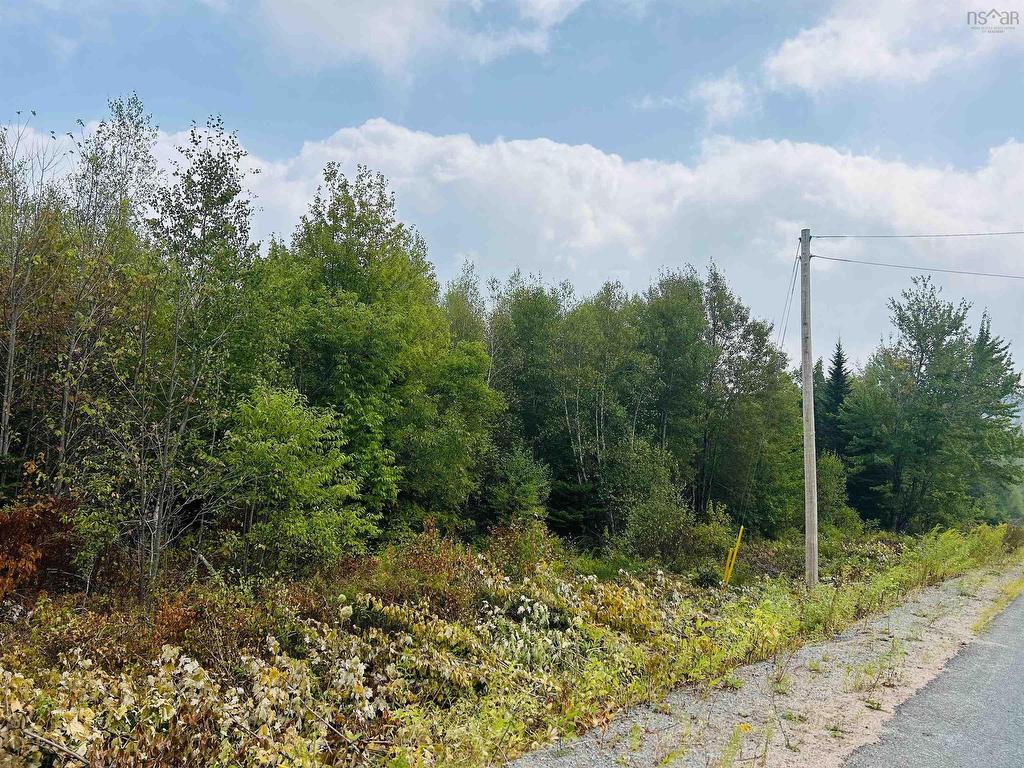 












Lot Alpena Road

,
East Inglisville,







NS
B0S 1M0

