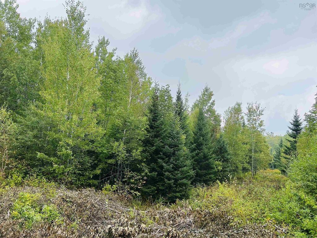 












Lot Alpena Road

,
East Inglisville,







NS
B0S 1M0

