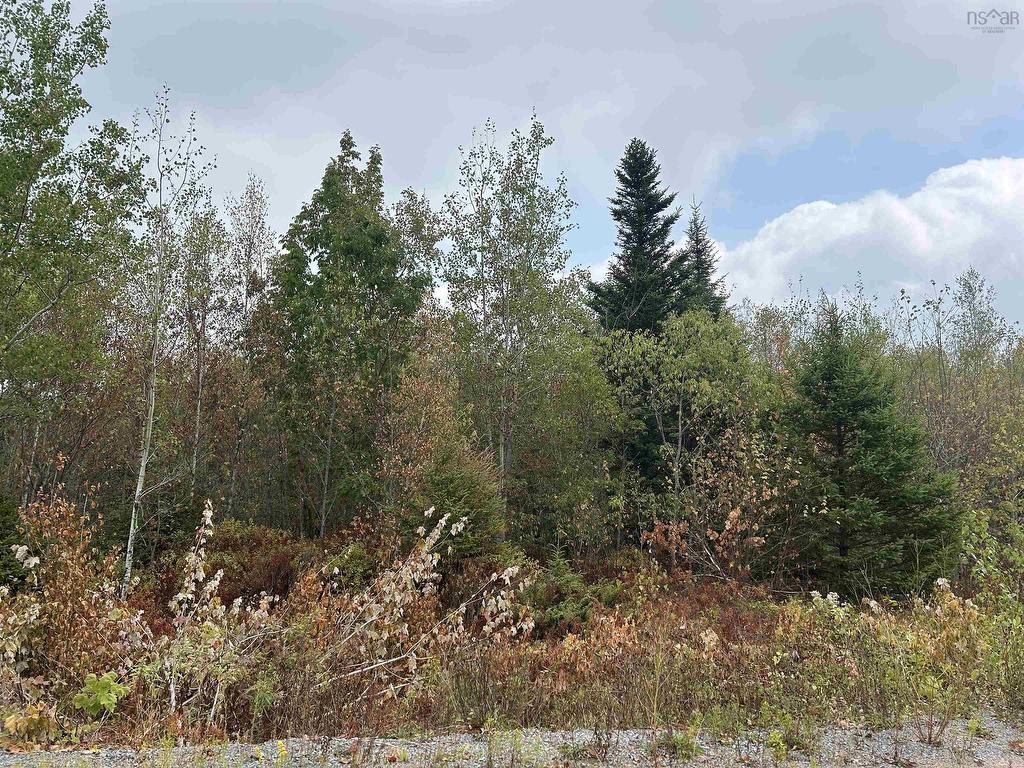












Lot Alpena Road

,
East Inglisville,







NS
B0S 1M0


