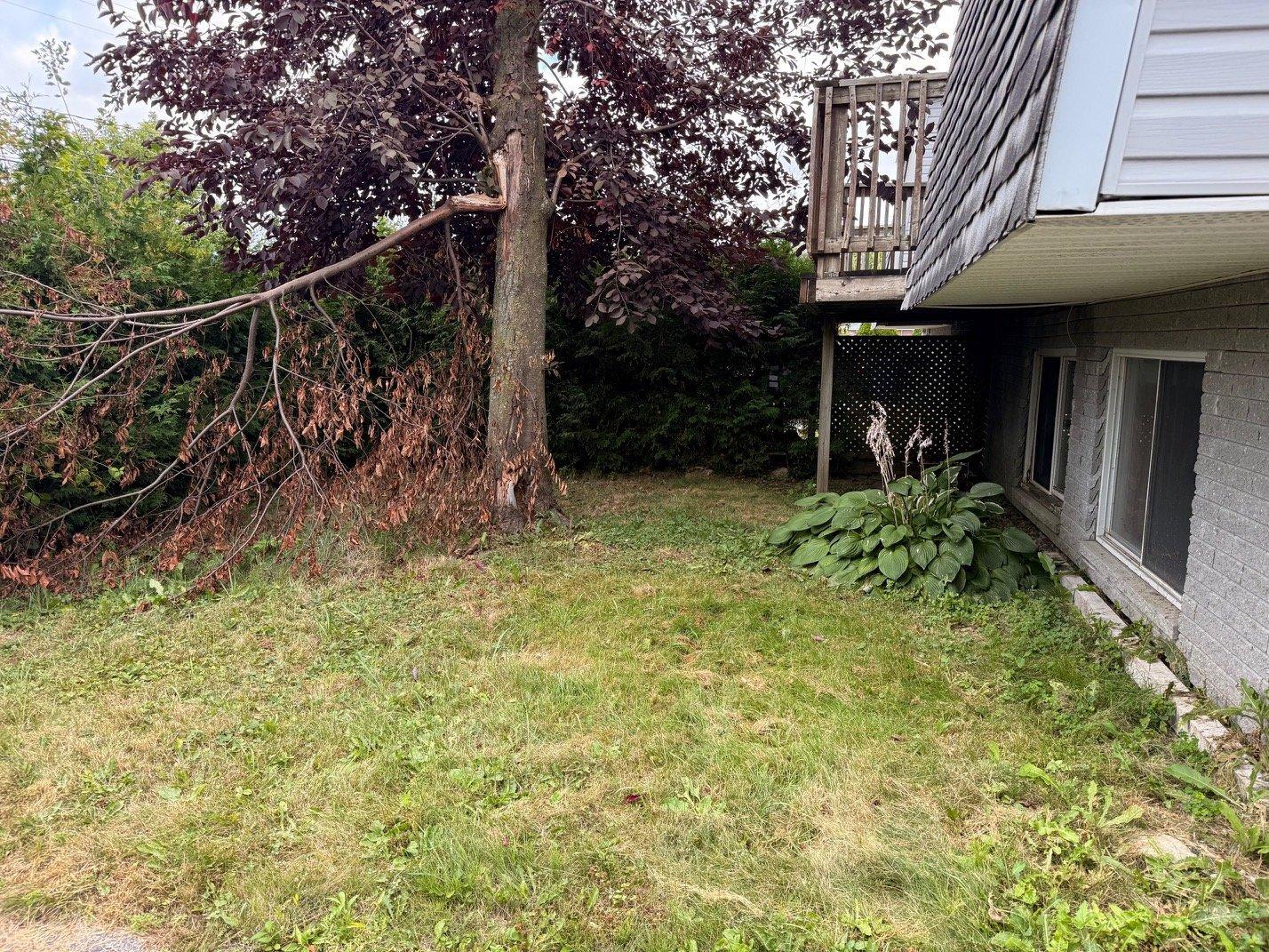 









44


Rue de Dubuisson

,
Gatineau (Gatineau),




QC
J8T5E1

