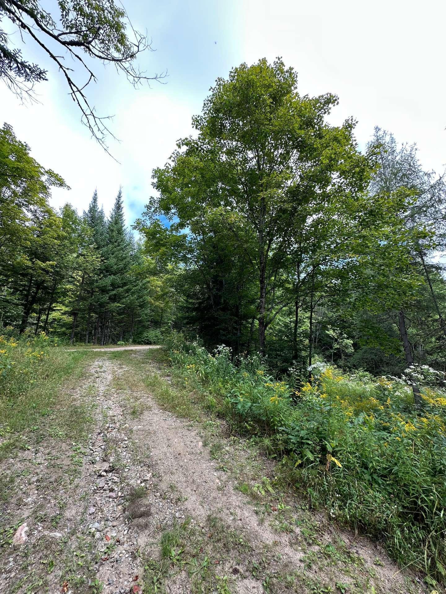 












Route Principale

,
Wentworth-Nord,







QC
J0T1Y0

