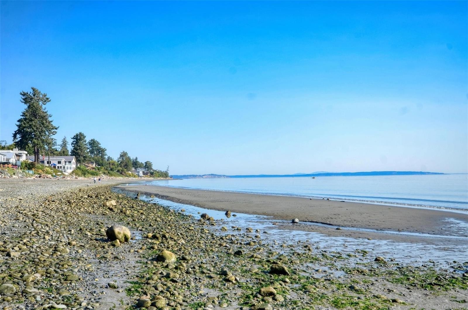 









5156


Cordova Bay

Rd, 7,
Saanich,




BC
V8Y 2X5

