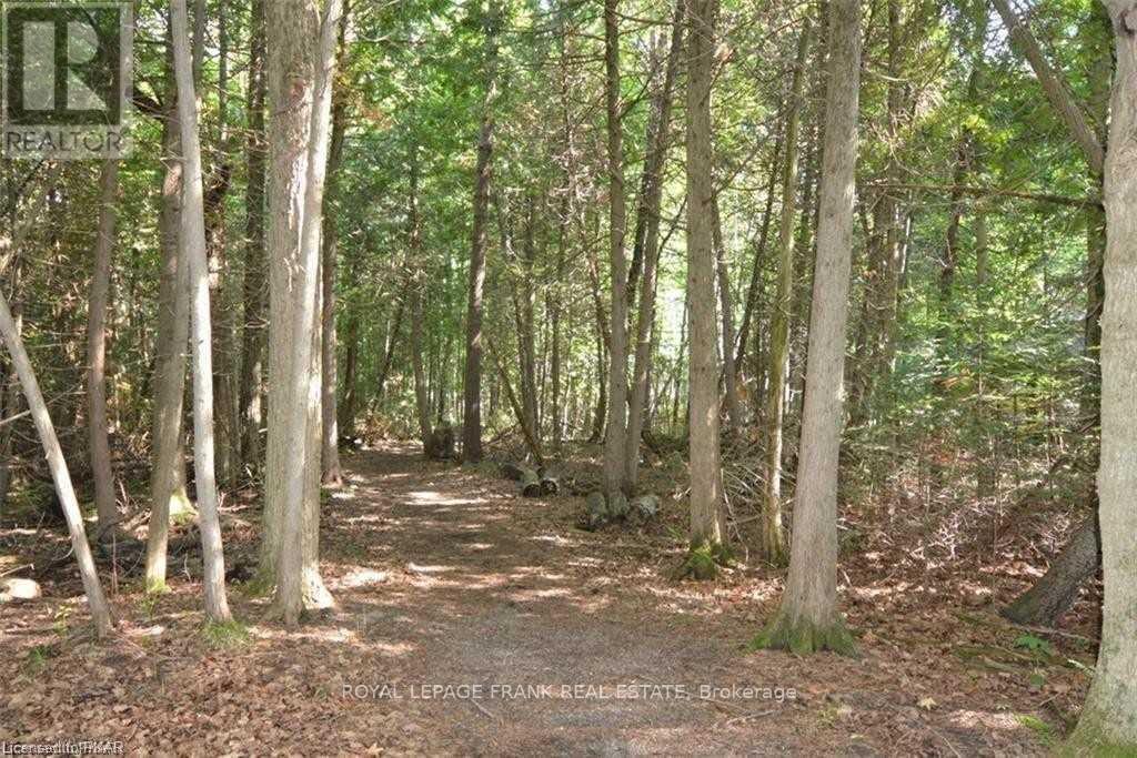 












0 HALL DRIVE

,
Trent Lakes,







Ontario
K0L1J0

