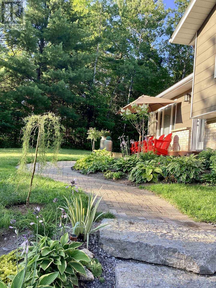 












94 COUNTY ROAD 36

,
Trent Lakes,




Ontario
K0M1A0

