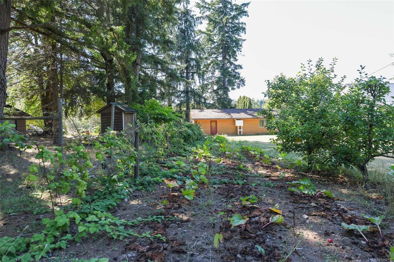 









5835


Island

Hwy North,
Courtenay,




BC
V9J 1T3

