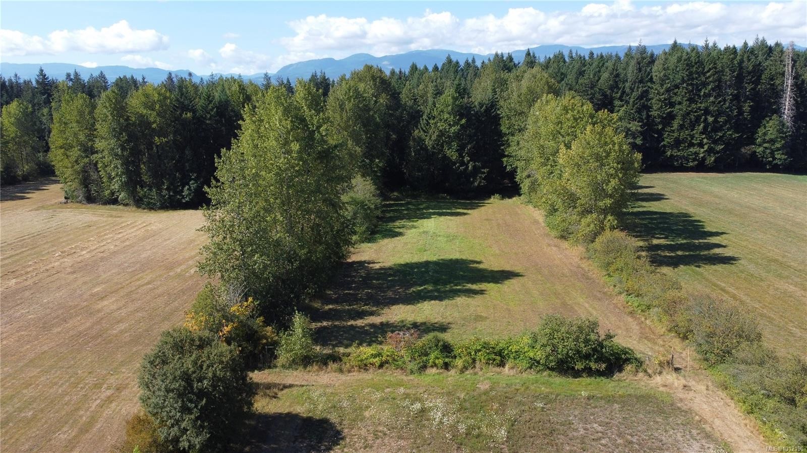 









5835


Island

Hwy North,
Courtenay,




BC
V9J 1T3

