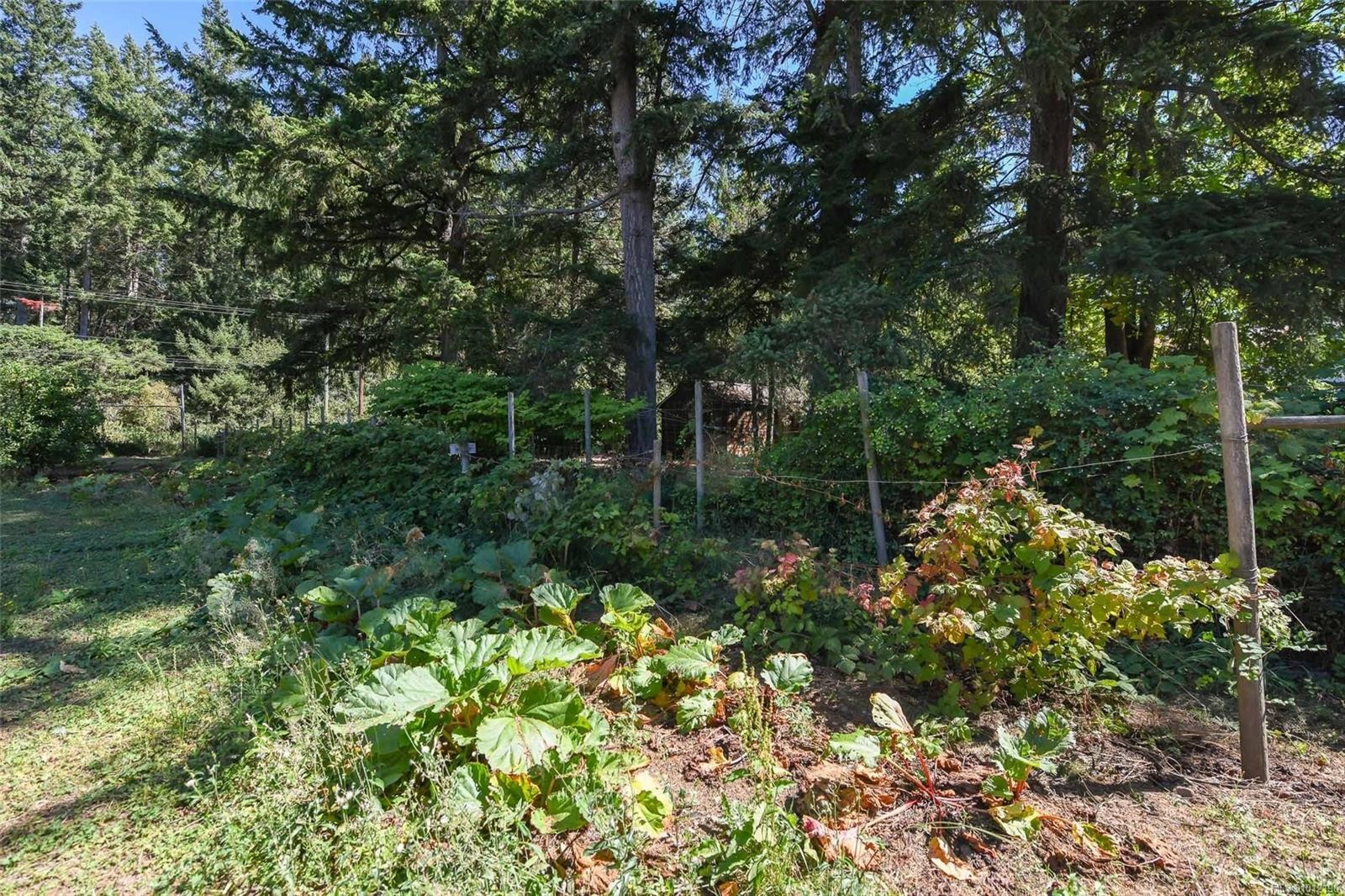 









5835


Island

Hwy North,
Courtenay,




BC
V9J 1T3

