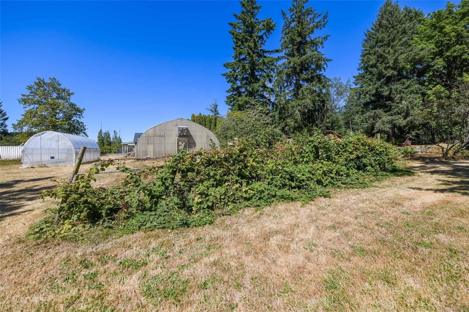 









5835


Island

Hwy North,
Courtenay,




BC
V9J 1T3

