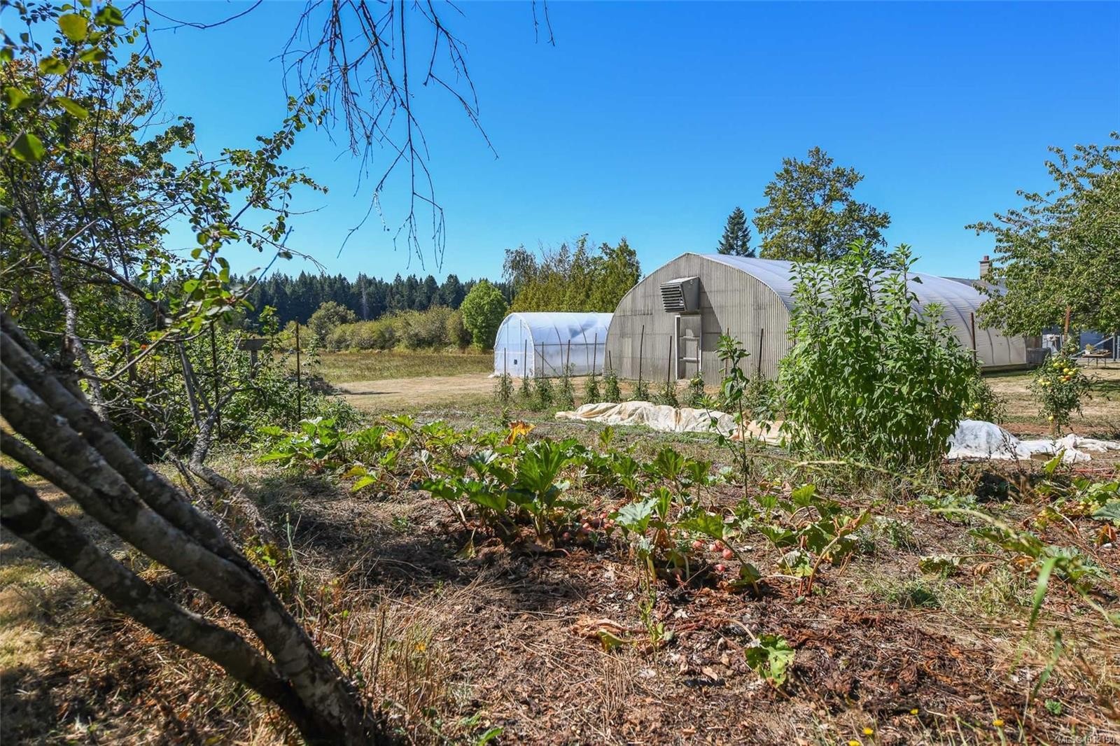 









5835


Island

Hwy North,
Courtenay,




BC
V9J 1T3

