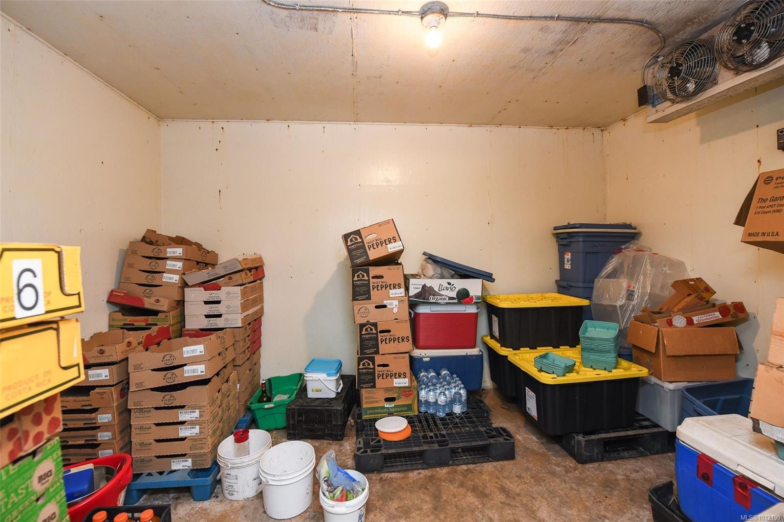 









5835


Island

Hwy North,
Courtenay,




BC
V9J 1T3

