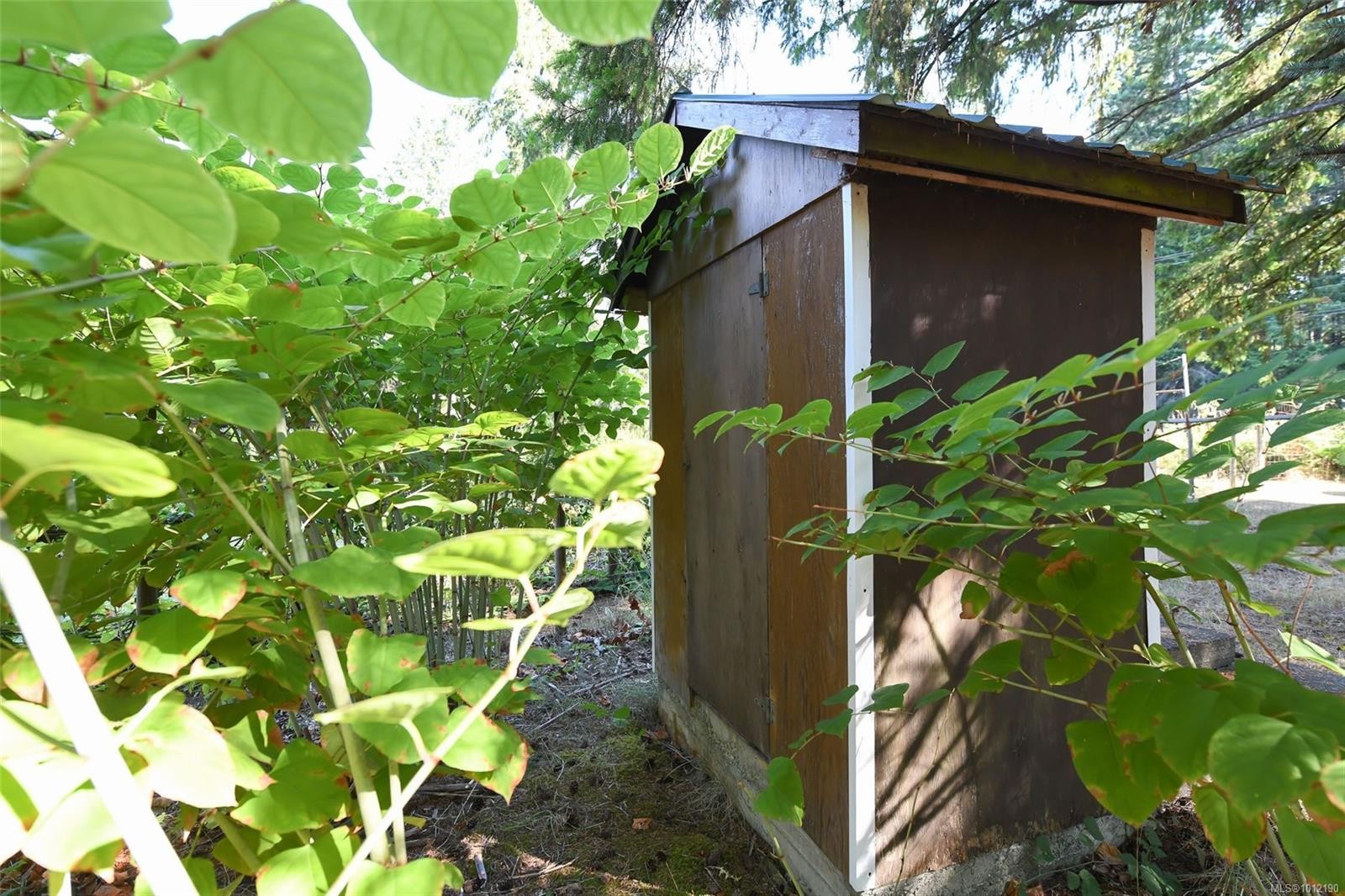 









5835


Island

Hwy North,
Courtenay,




BC
V9J 1T3

