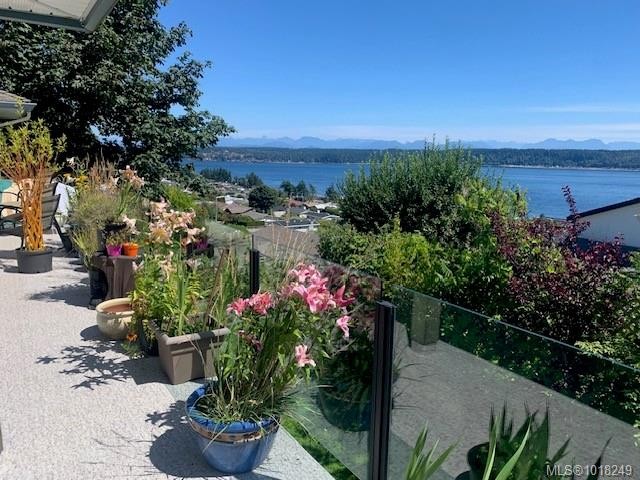 









253


Alder

St South,
Campbell River,




BC
V9W 2M9

