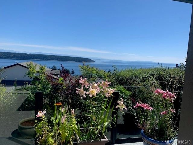 









253


Alder

St South,
Campbell River,




BC
V9W 2M9

