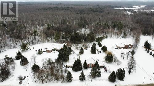 Private retreat on nearly 4 acres