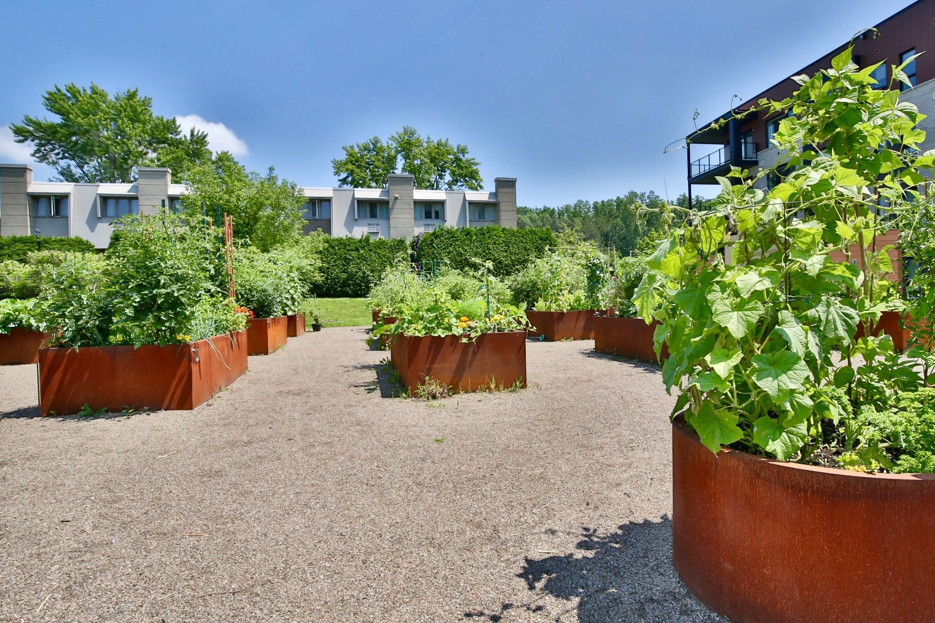 









2100


Rue Benoit

, 105,
Saint-Bruno-de-Montarville,




QC
J3V6N5

