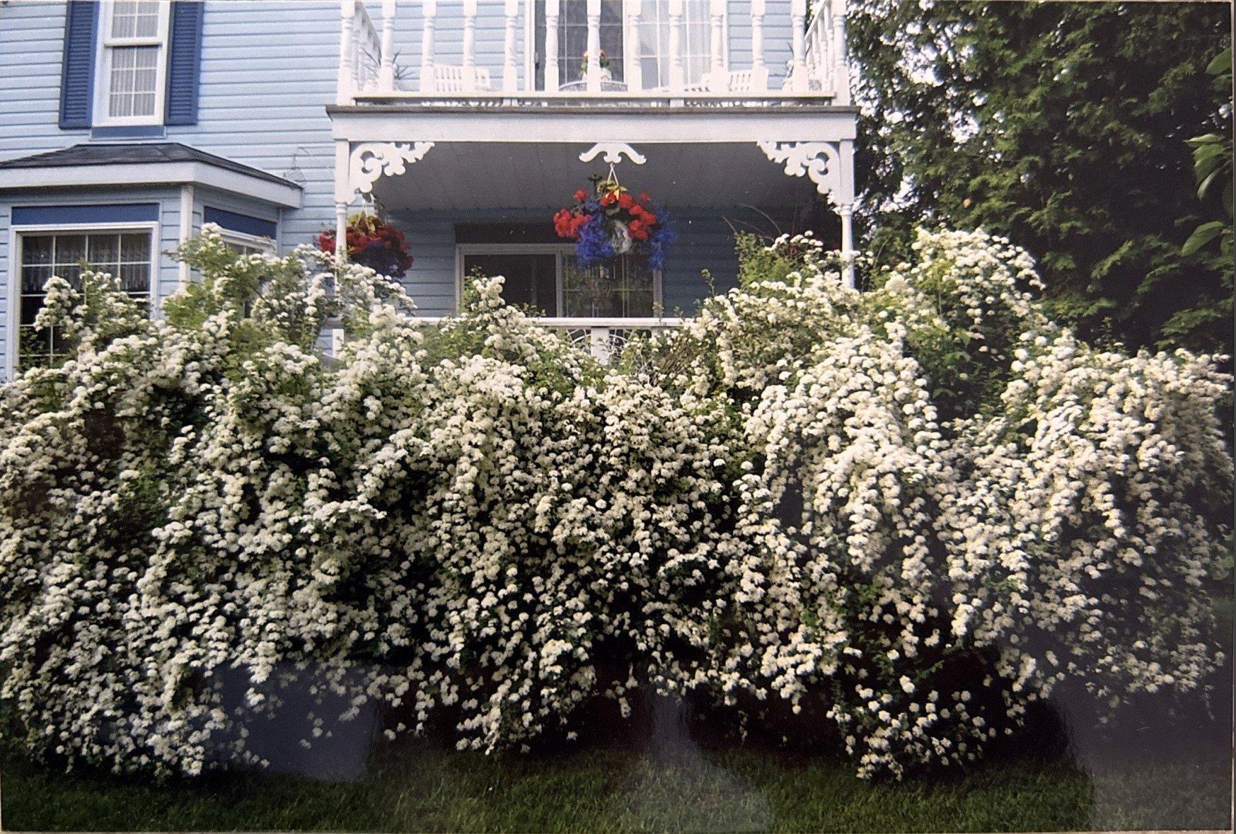 









208


Rue Leclerc

,
Gatineau (Gatineau),




QC
J8P6Y7

