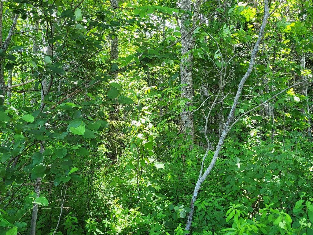 












Highway 215 Urbania

,
Urbania,







NS
B0H 2H0

