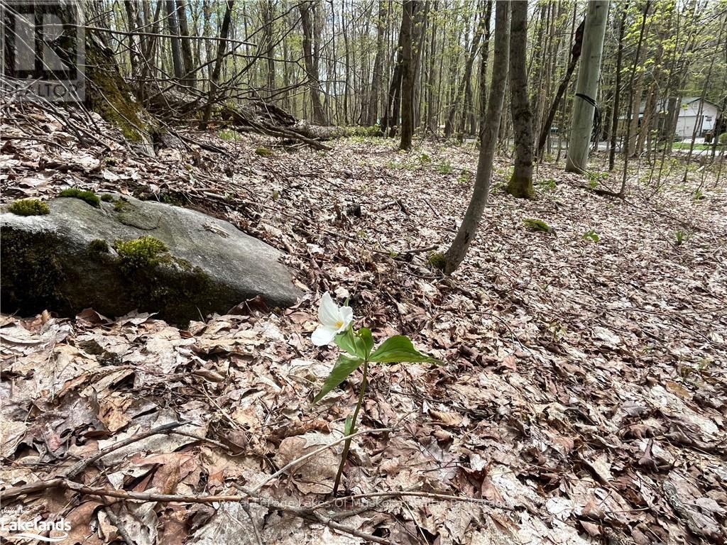 












LOT 133 BRENNAN CIRCLE

,
Huntsville (Stisted),







Ontario
P1H2J3

