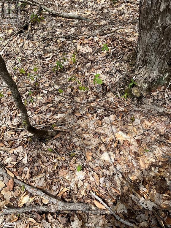 












LOT 133 BRENNAN CIRCLE

,
Huntsville (Stisted),







Ontario
P1H2J3

