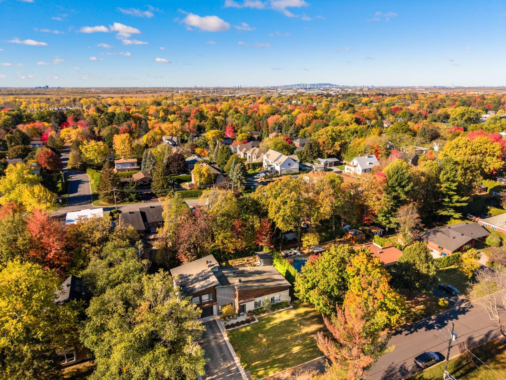 









2015


Rue Bellevue

,
Saint-Bruno-de-Montarville,




QC
J3V3X3

