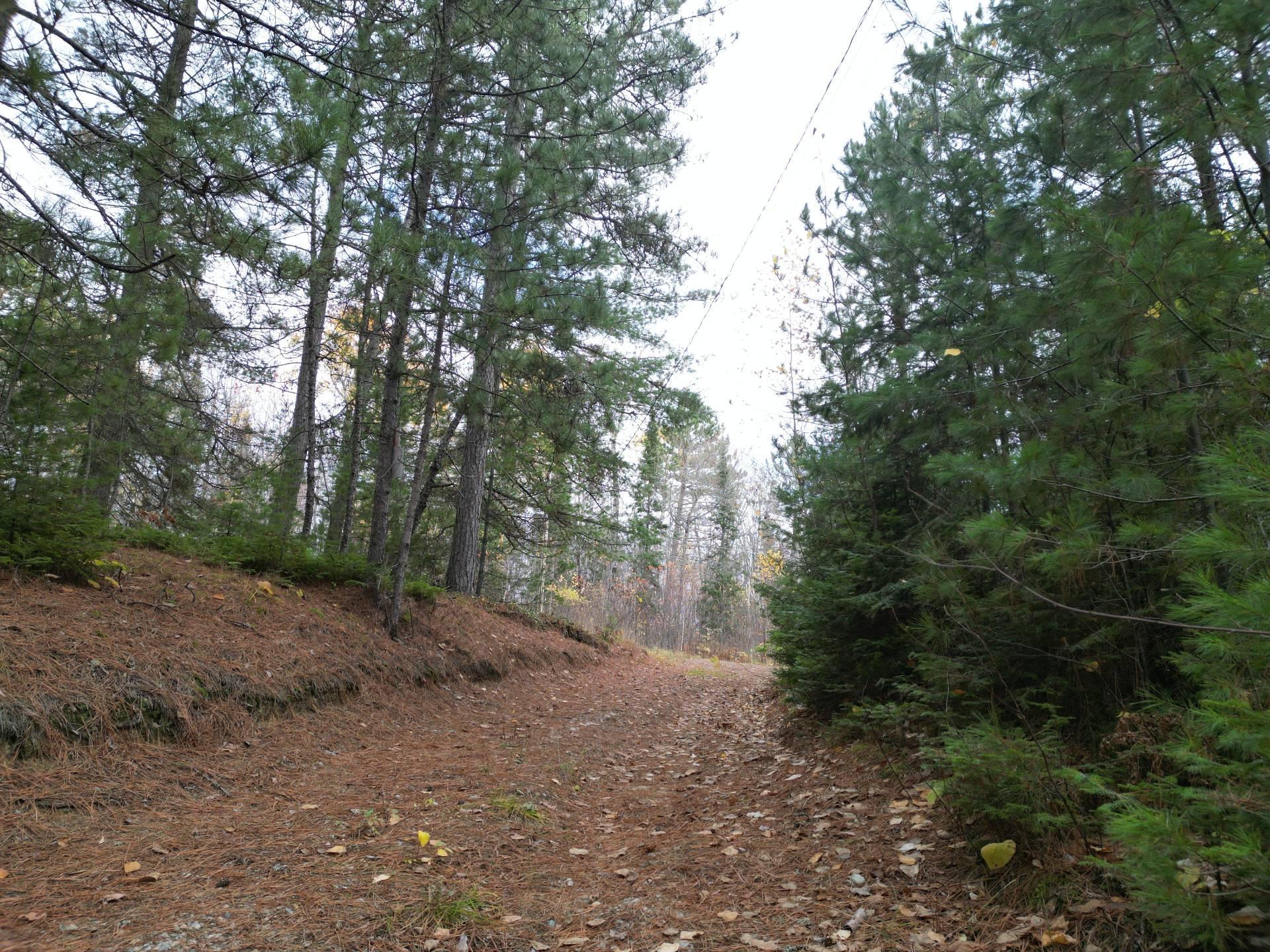 









497


Ch. du Lac-de-l'Argentier

,
Fugèreville,




QC
J0Z2A0

