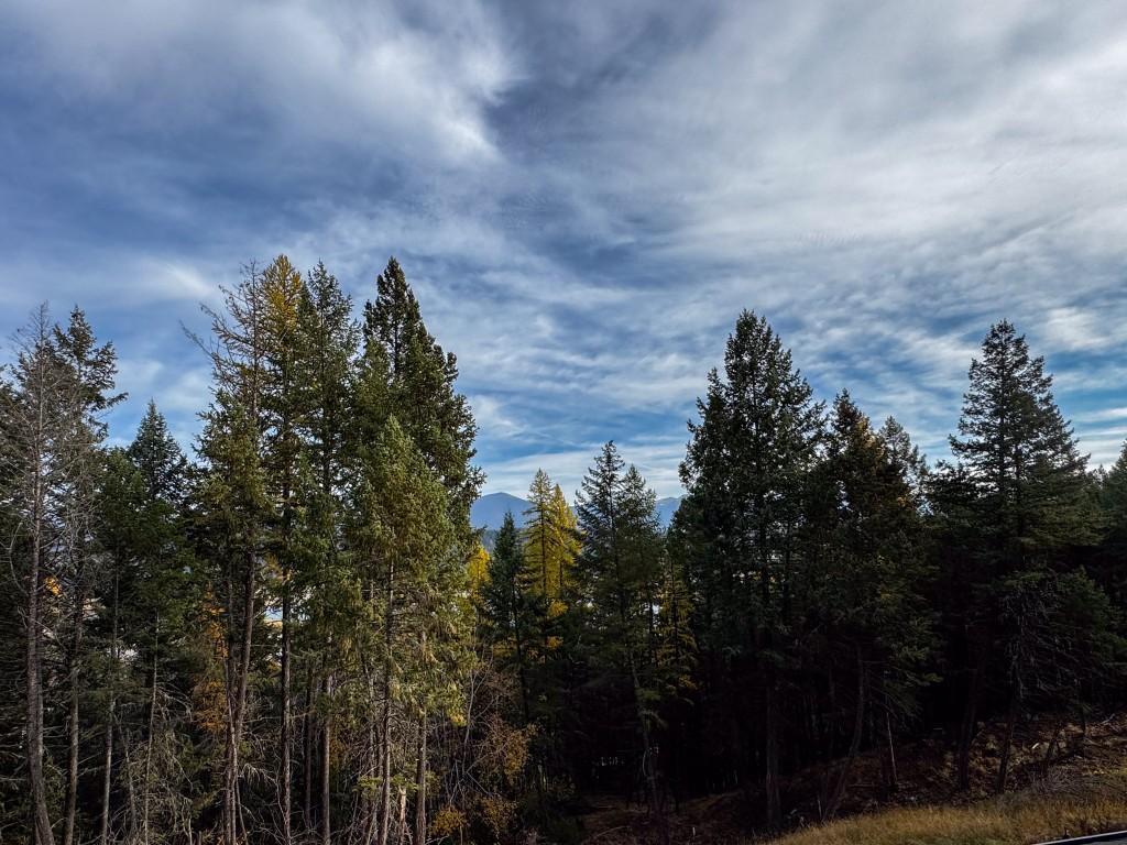 









9905


Osprey Landing

Drive,
Wardner,




BC
V0B 2J0

