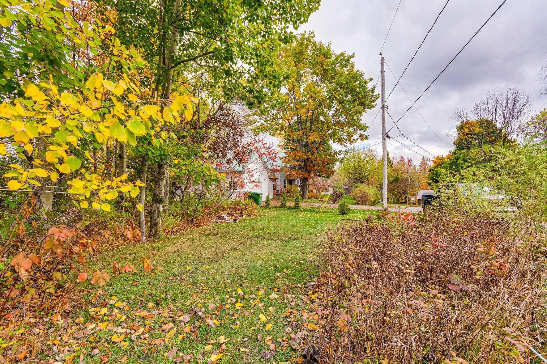 









1804


Ch. de la Grande-Presqu'île

,
Plaisance,




QC
J0V1S0

