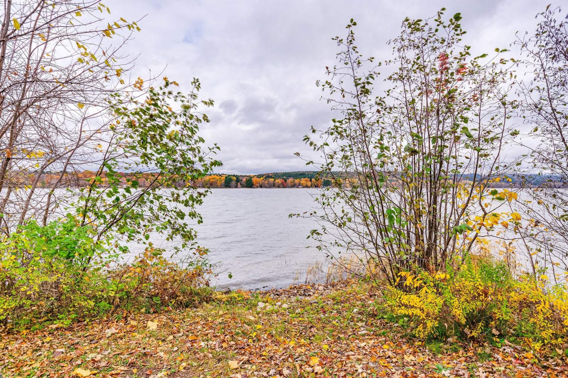 









1804


Ch. de la Grande-Presqu'île

,
Plaisance,




QC
J0V1S0

