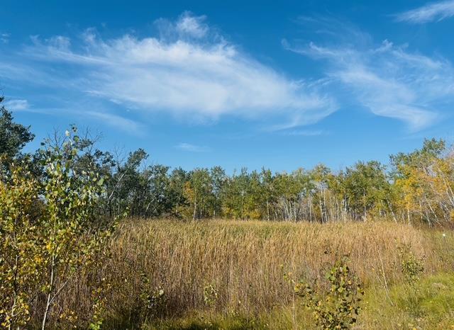 












309 East Lake Shore Road

,
St Malo,







Manitoba
R0A1T0

