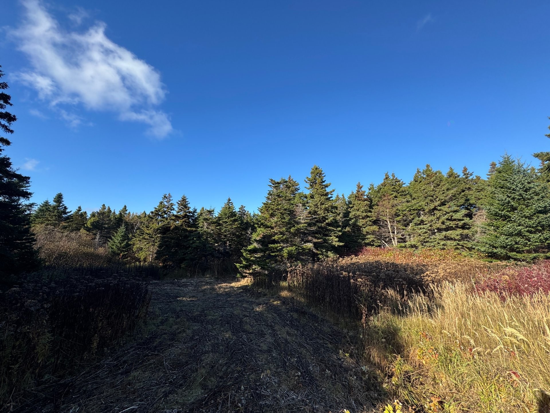 












Ch. Petitpas

,
Les Îles-de-la-Madeleine,







QC
G4T2L3

