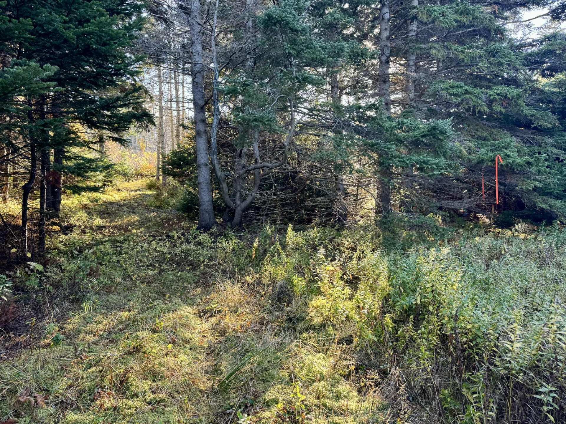 












Ch. Petitpas

,
Les Îles-de-la-Madeleine,







QC
G4T2L3

