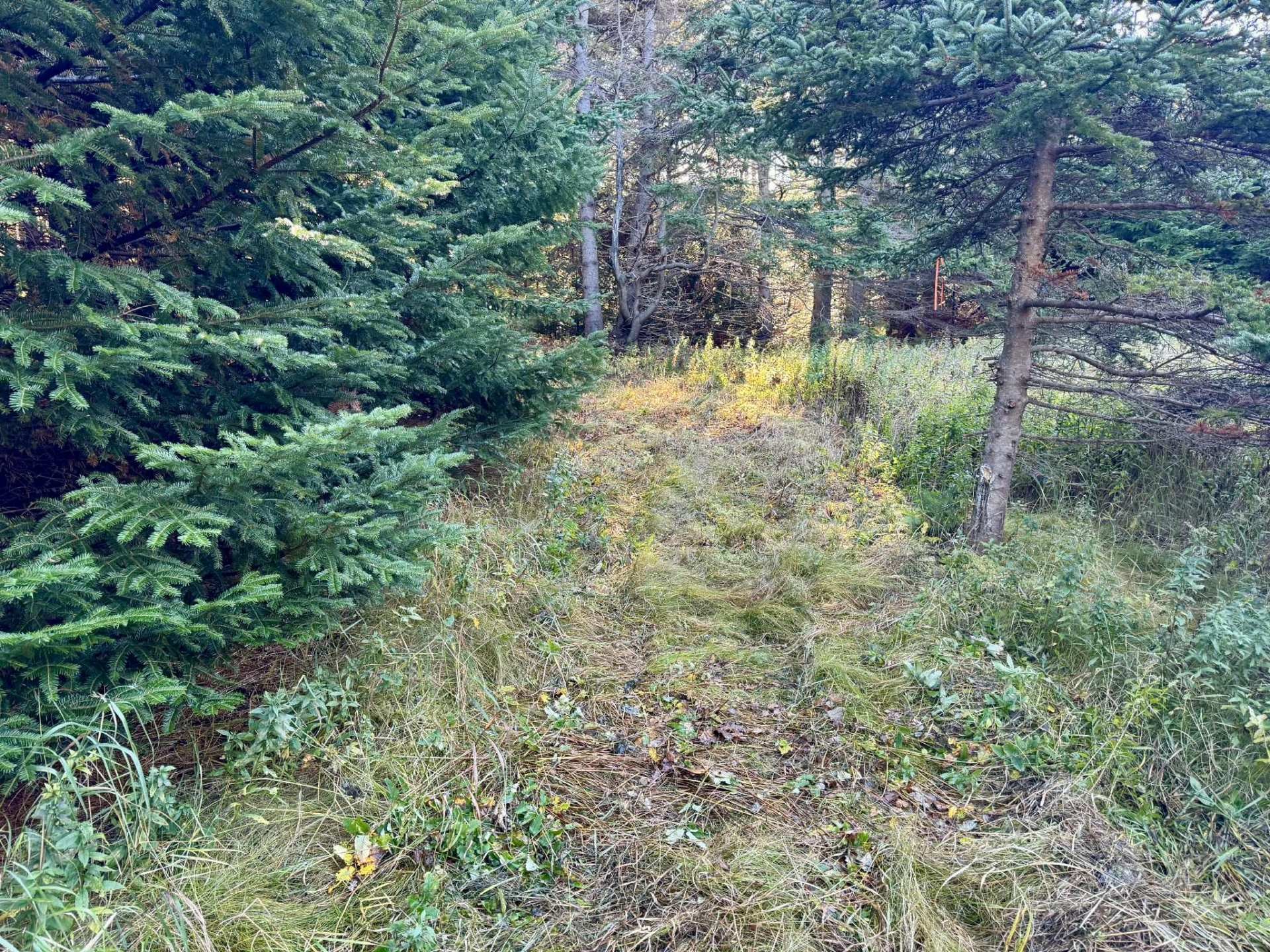 












Ch. Petitpas

,
Les Îles-de-la-Madeleine,







QC
G4T2L3


