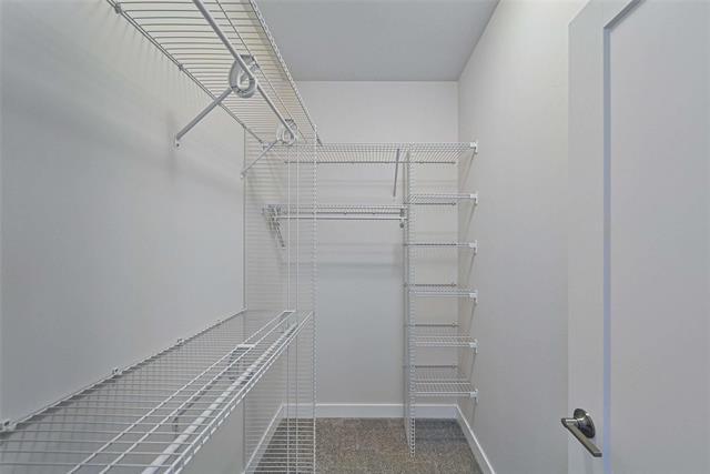 









21


Morning Glory

WAY,
Dugald,




MB
R5P 0G3

