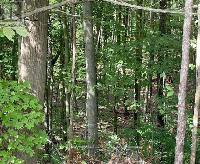 












26 KENWELL CRESCENT

,
Barrie,




Ontario
L4N0A4

