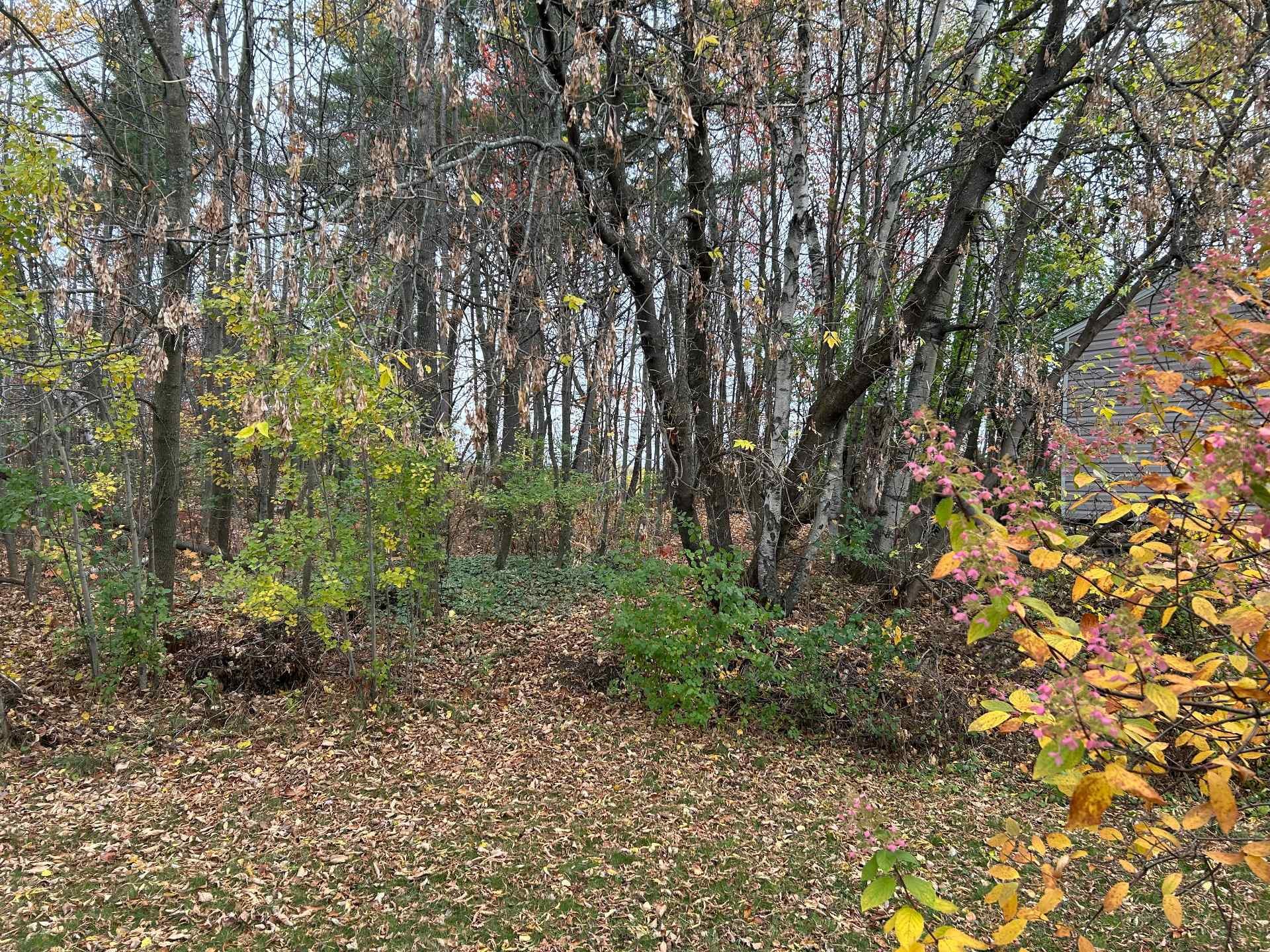 









457


Rue Bellevue

,
Magog,




QC
J1X5V7

