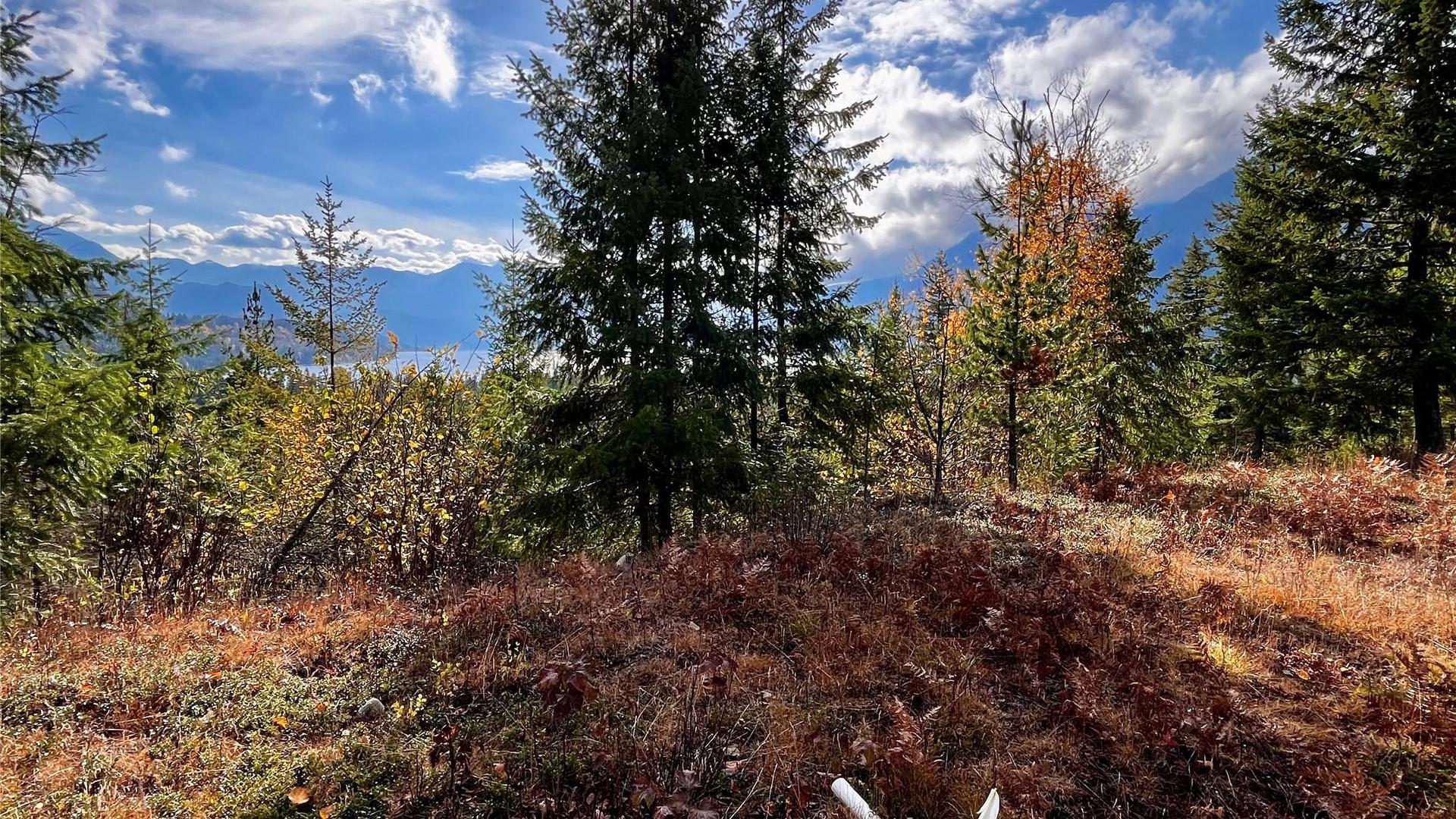 









235


Fullmoon

Road,
Rosebery,







BC
V0G 1S1

